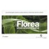 Florea X 30 Caps