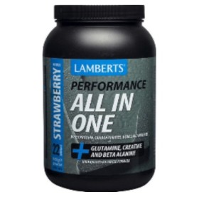 Lamberts All In One Strawberry 1450 gr