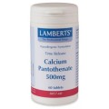 Lamberts Calcium Pantothenate B5 500 mg T/R X 60 Tabs (B-5)