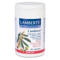 Lamberts Candaway X 60 Tabs