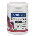 Lamberts Echinacea 1000 mg X 60 Tabs