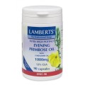Lamberts Evening Primrose Oil & Starflower Oil 1000 mg X 90 Caps (Ω6)