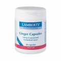 Lamberts Ginger 120 mg X 60 Caps