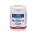 Lamberts Hawthorn 2500 mg X 60 Tabs