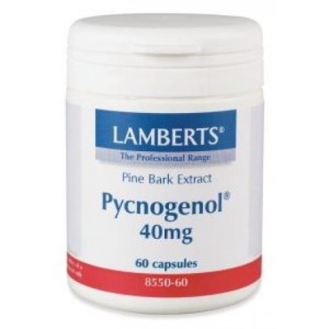 Lamberts Pycnogenol 40 mg X 60 Caps