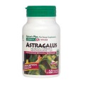 Nature's Plus Astragalus 450 mg X 60 Veggie Caps