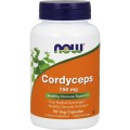 Now Foods Cordyceps 750 mg x 90 Vcaps