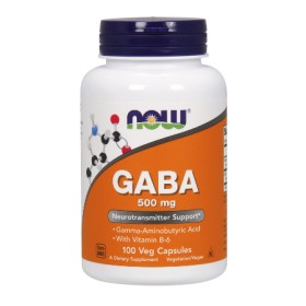 Now Foods Gaba 500 mg With B-6 2 mg X 100 Caps
