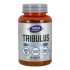 Now Foods Tribulus 1000 mg X 90 Tabs