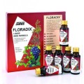 Power Health Floradix 10 X 20 ml