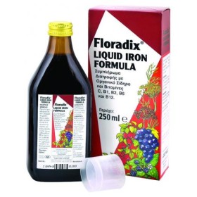 Power Health Floradix 250 ml