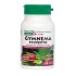 Nature's Plus Gymnema Sylvestre 300 mg X 60 Veggie Caps