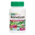 Nature's Plus Boswellin 60vcaps