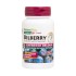 Nature's Plus Herbal Actives Bilberry Extended Release 100mg 30Tabs