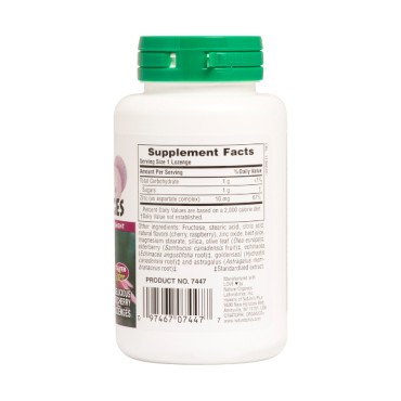 Nature's Plus Herbal Actives ImmunActin Zinc 60 Παστίλιες