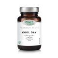 Power Health Cool Day X 30 Tabs