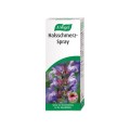 A.Vogel Echinaforce Throat Spray 30 ml