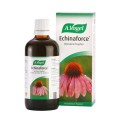 A.Vogel Echinaforce 50 ml