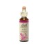 Bach Remedies Bach Elm 20 ml