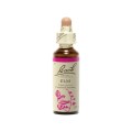 Bach Remedies Bach Elm 20 ml