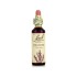 Bach Remedies Bach Heather 20 ml