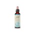 Bach Remedies Bach Beech 20 ml