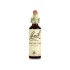 Bach Remedies Bach Honeysuckle 20 ml