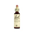 Bach Remedies Bach Honeysuckle 20 ml