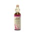 Bach Remedies Bach Larch 20 ml