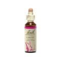 Bach Remedies Bach Larch 20 ml