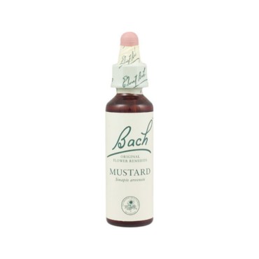 Bach Remedies Bach Mustard 20 ml