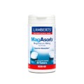 Lamberts Mag Asorb X 60 Tabs