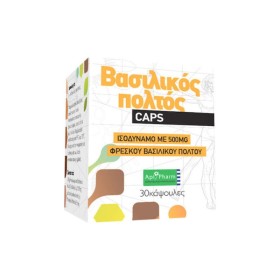 Apipharm Royal Jelly Μέγας Βασιλικός Πολτός 30 Caps