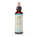 Bach Remedies Bach Vervain 20 ml