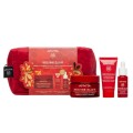 Apivita Promo Beevine Elixir Wrinkle & Firmness Lift Light Cream 50ml & Intense Recovery Lift Night Cream 15ml & Lift Serum 10ml