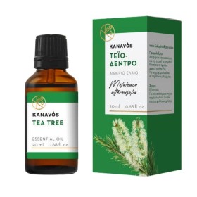 Kanavos Αιθέριο Έλαιο Tea Tree 20ml