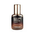 Eshumi Black Snail Perfect Hydrator Essence 35ml